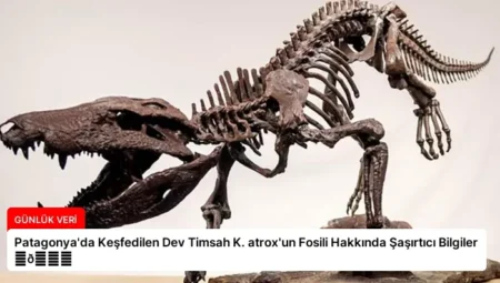 Patagonya’da Keşfedilen Dev Timsah K. atrox’un Fosili Hakkında Şaşırtıcı Bilgiler ⏬👇