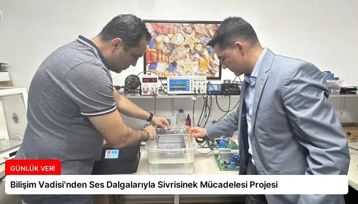 Bilişim Vadisi’nden Ses Dalgalarıyla Sivrisinek Mücadelesi Projesi
