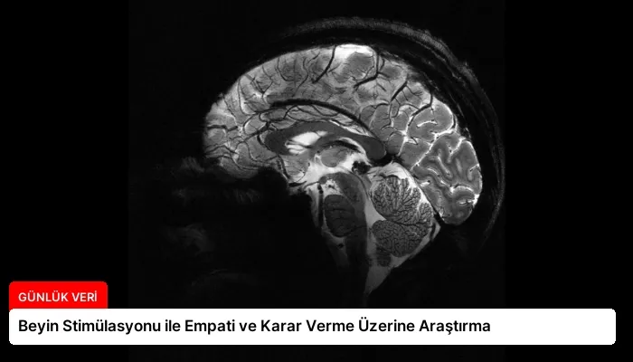 Beyin Stimülasyonu ile Empati ve Karar Verme Üzerine Araştırma