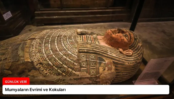 Mumyaların Evrimi ve Kokuları