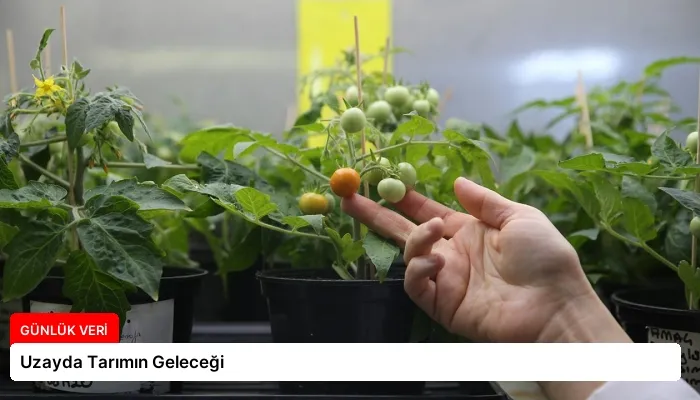 Uzayda Tarımın Geleceği