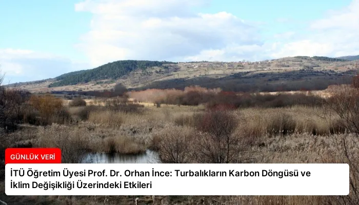 İTÜ Öğretim Üyesi Prof. Dr. Orhan İnce: Turbalıkların Karbon Döngüsü ve İklim Değişikliği Üzerindeki Etkileri