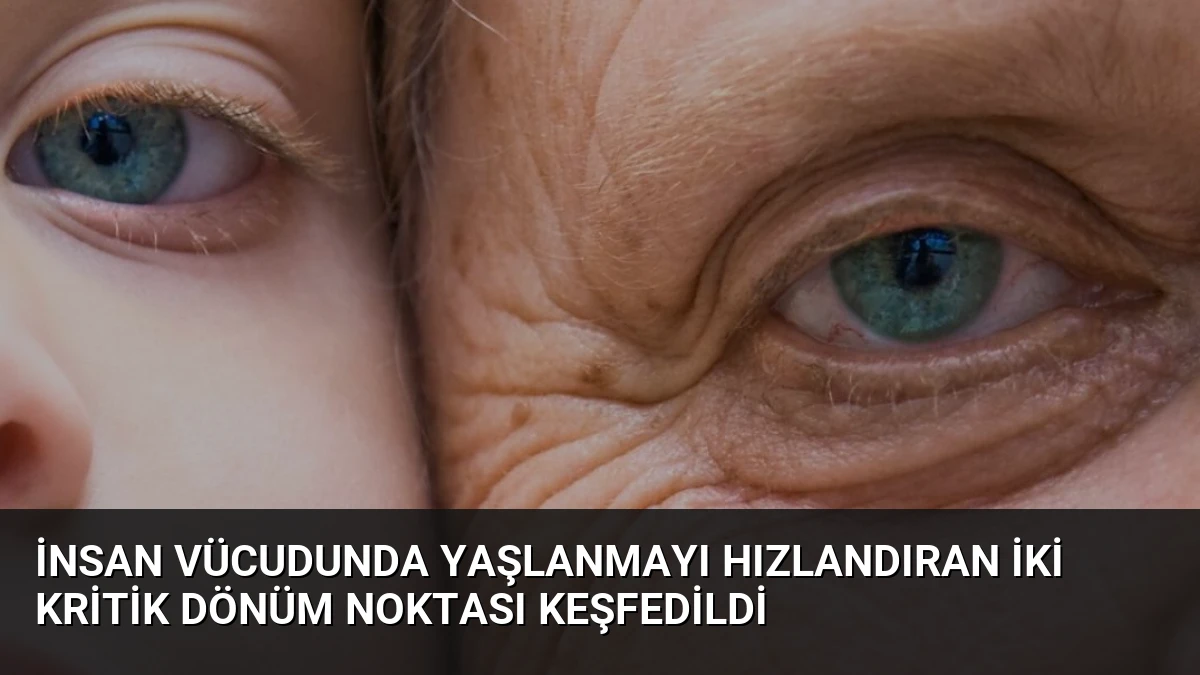 İnsan Vücudunda Yaşlanmayı Hızlandıran İki Kritik Dönüm Noktası Keşfedildi