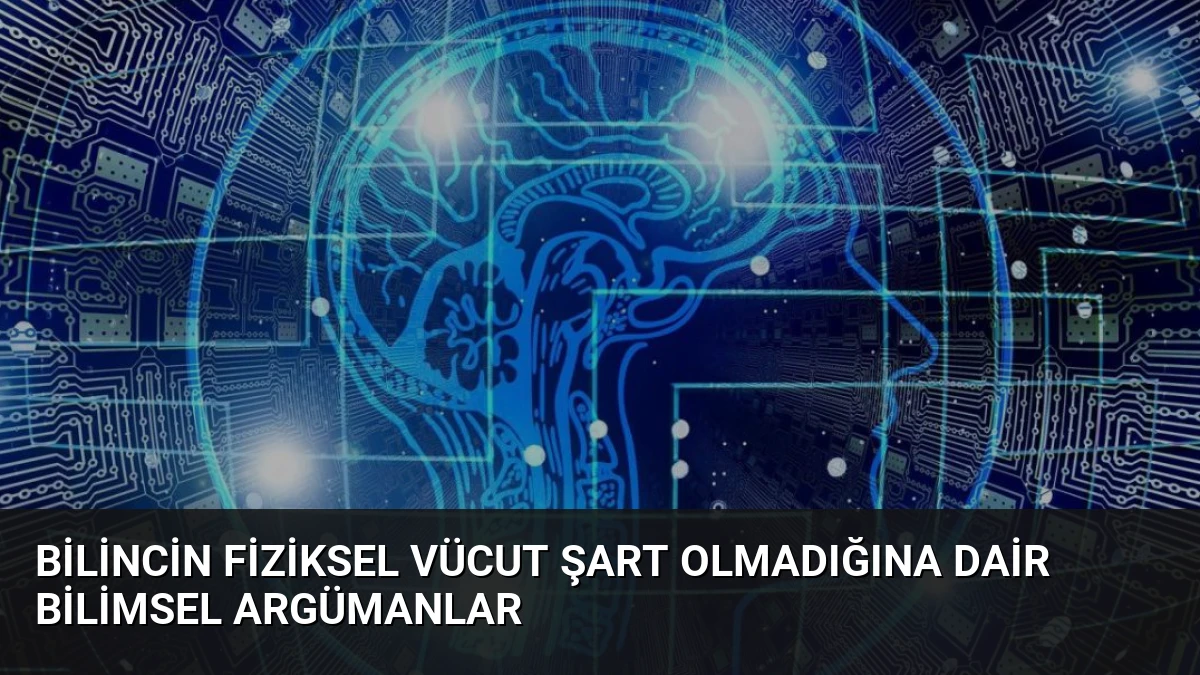 Bilincin Fiziksel Vücut Şart Olmadığına Dair Bilimsel Argümanlar