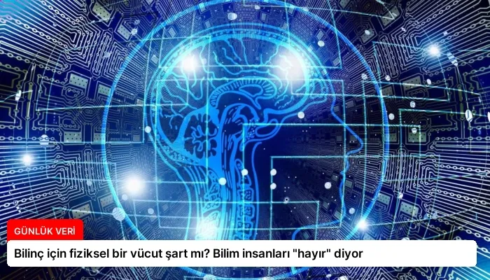 Bilinç için fiziksel bir vücut şart mı? Bilim insanları “hayır” diyor